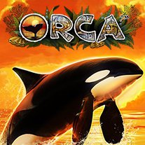 Orca